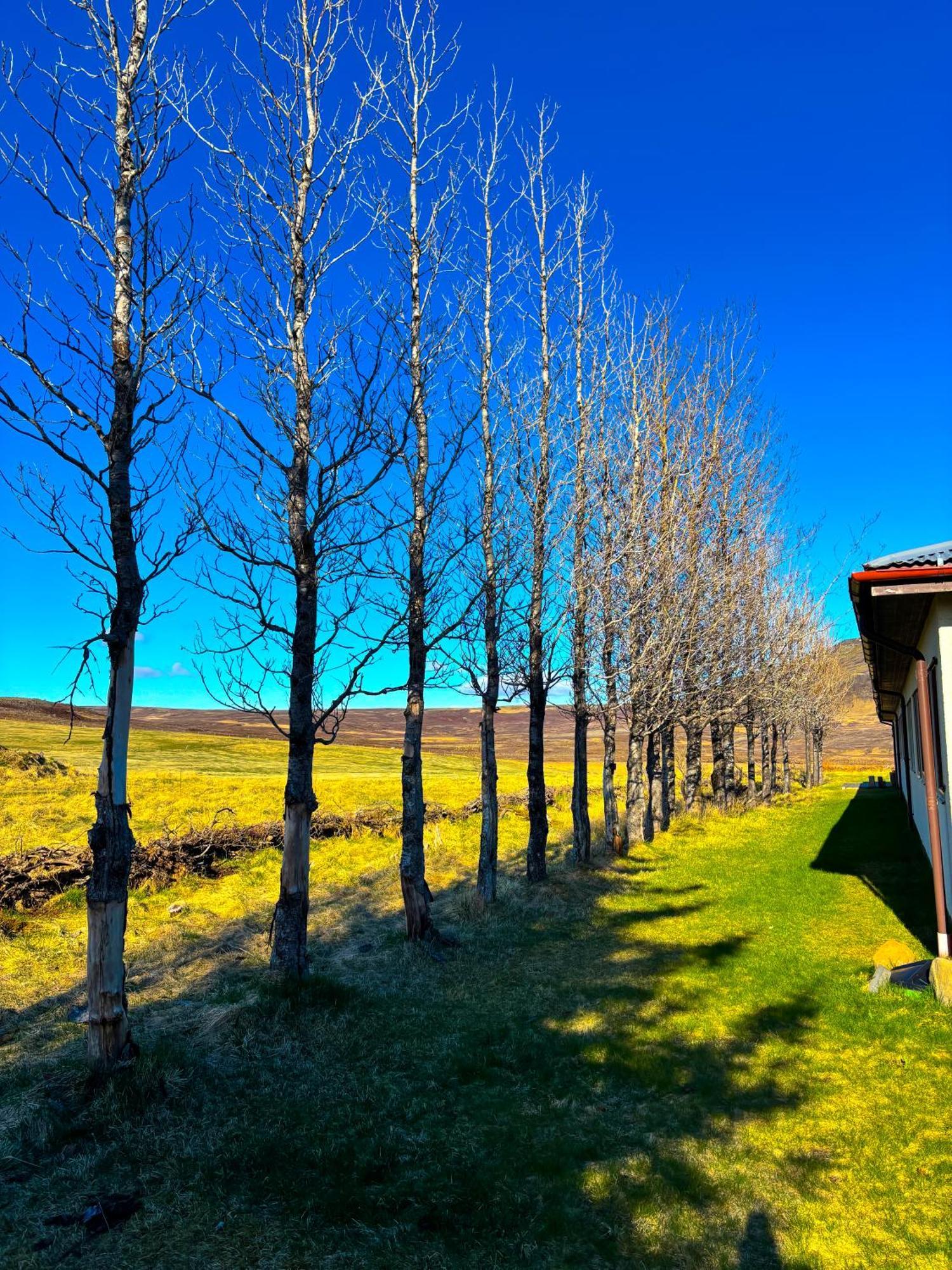 Bru Country Estate Hotel Selfoss Exterior photo